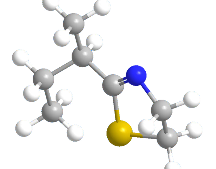 Butyl Stearate Market