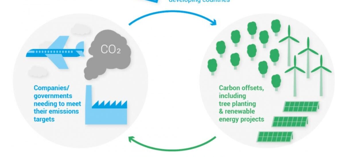 Carbon Offset Platform Market