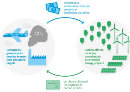 Carbon Offset Platform Market