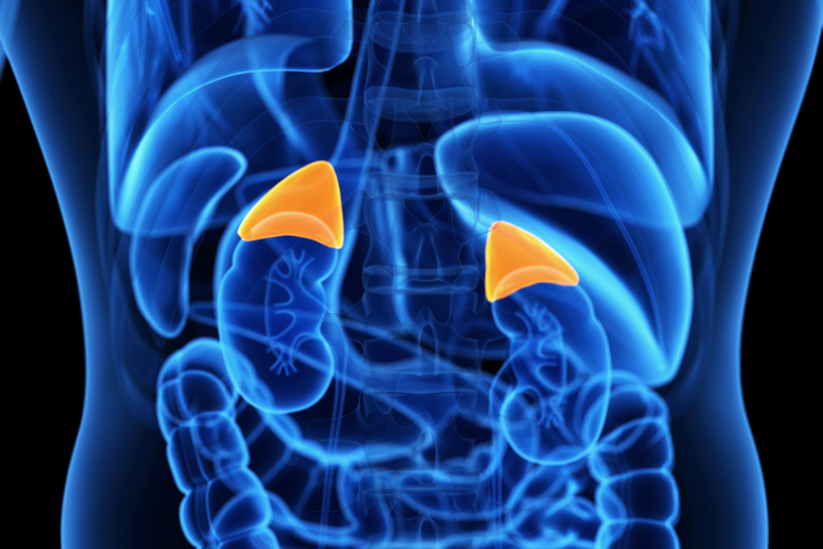 Congenital Adrenal Hyperplasia Treatment Market