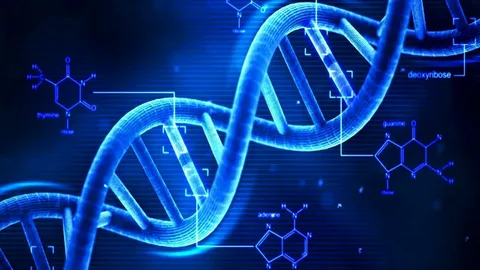 Global DNA Sequencing Services Market