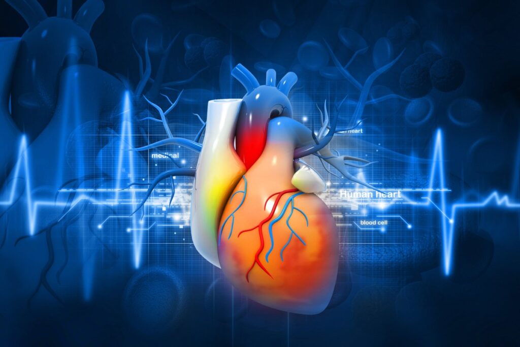 Cardiac Rhythm Management Market