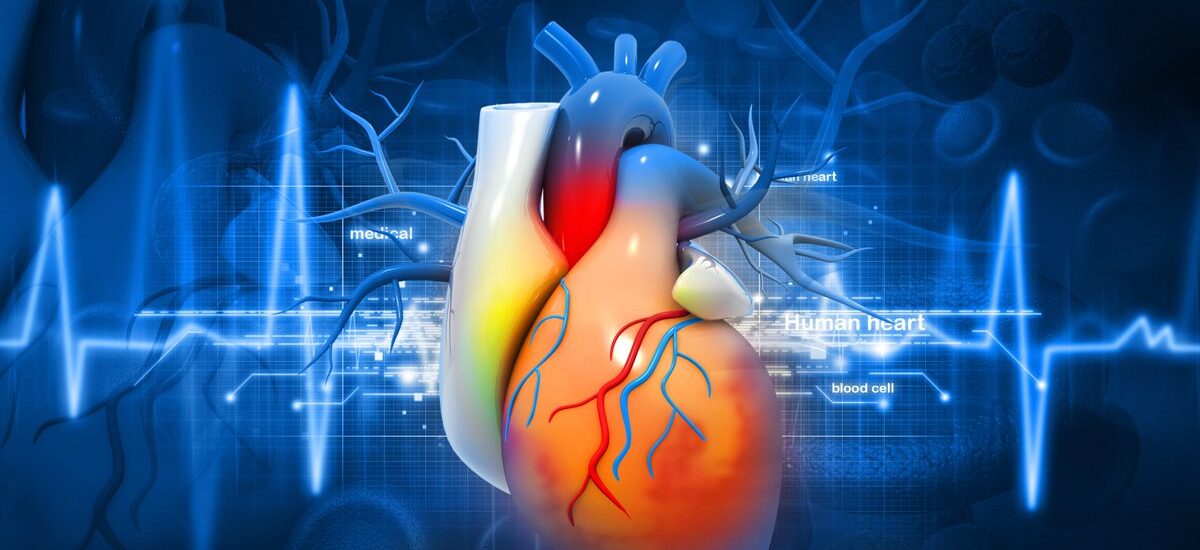 Global Cardiac Rhythm Management Industry