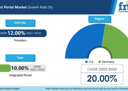 Global Patient Portal Industry