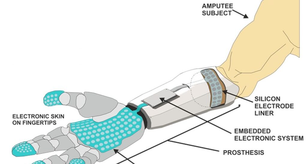 Electronic Skin Market