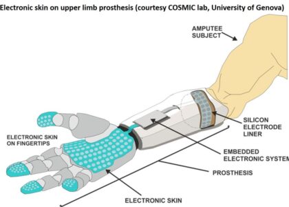 Electronic Skin Market