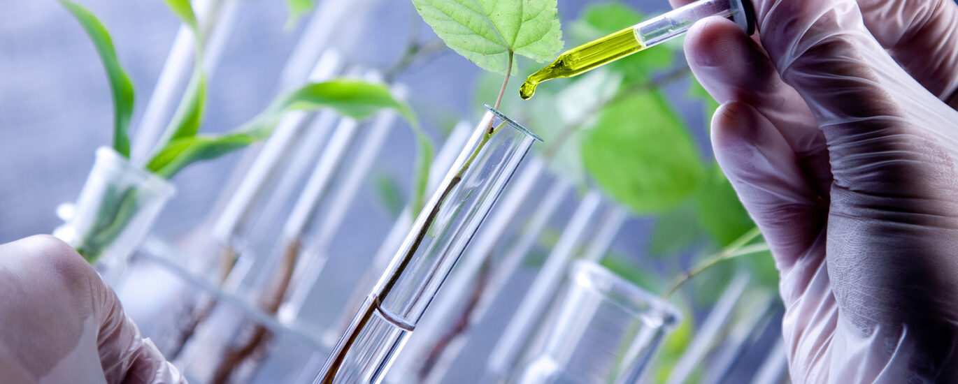 Middle East and Africa Bio-Stimulants Market