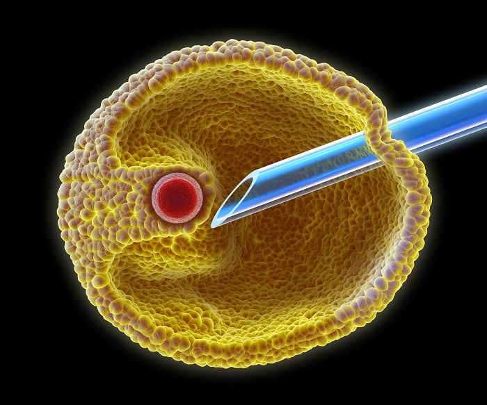 Oocyte Retrieval Needles Market