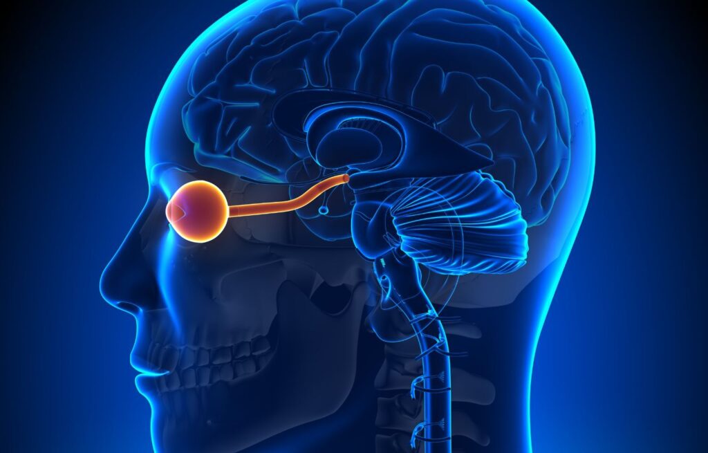 Optic Neuropathy Management Market