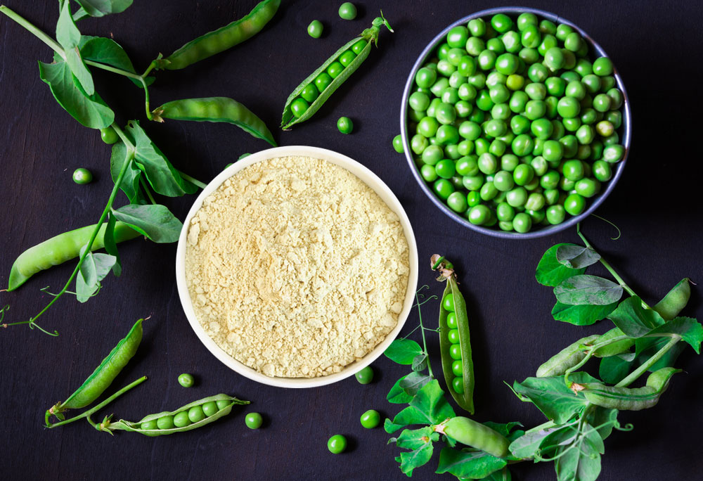 Pea Protein Ingredients Market