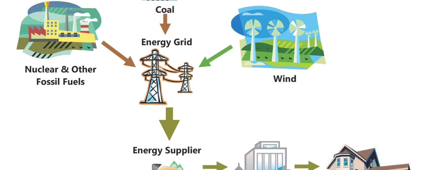 Renewable Naphtha Market