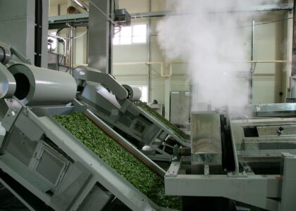 Tea Processing Equipment Market