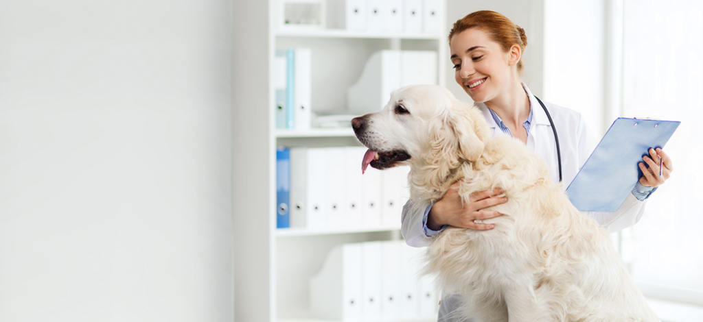 Veterinary Rehabilitation Services Industry