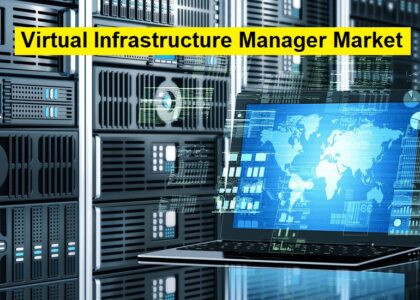 Virtual Infrastructure Manager Market