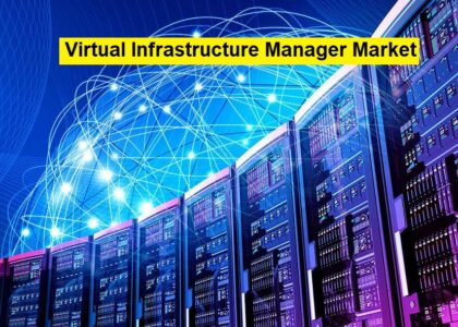 Virtual Infrastructure Manager Market