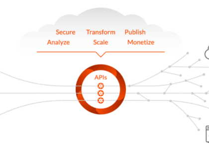 Cloud API and Management Platforms and Middleware Market