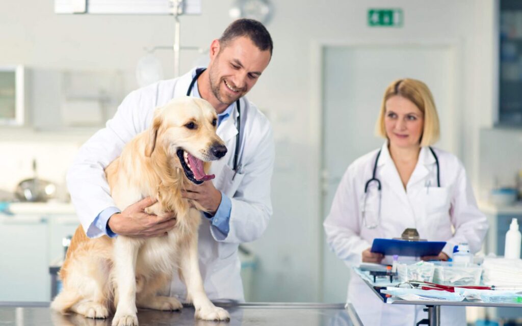 Animal Healthcare Market