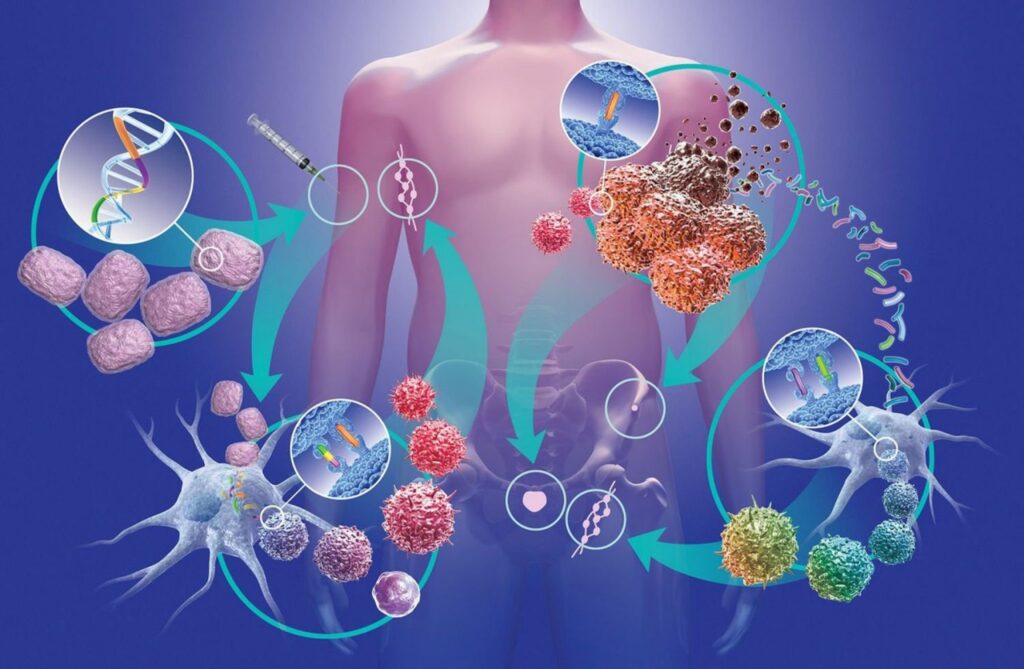 Autoimmune Disease Therapeutics Industry