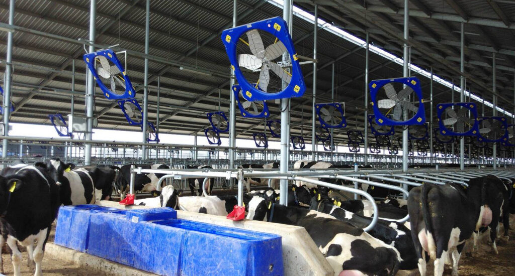 Automatic Cattle Waterer Market