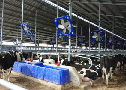 Automatic Cattle Waterer Market