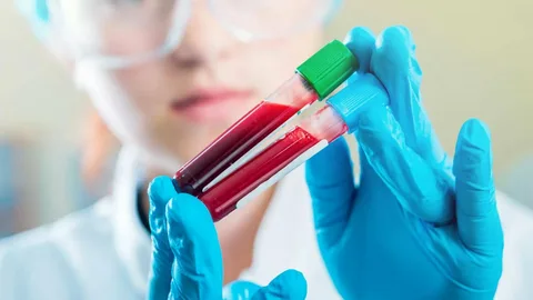 Blood Cancer Treatment Market