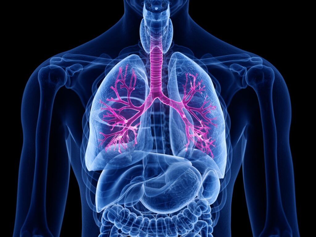 COPD Therapeutics Market