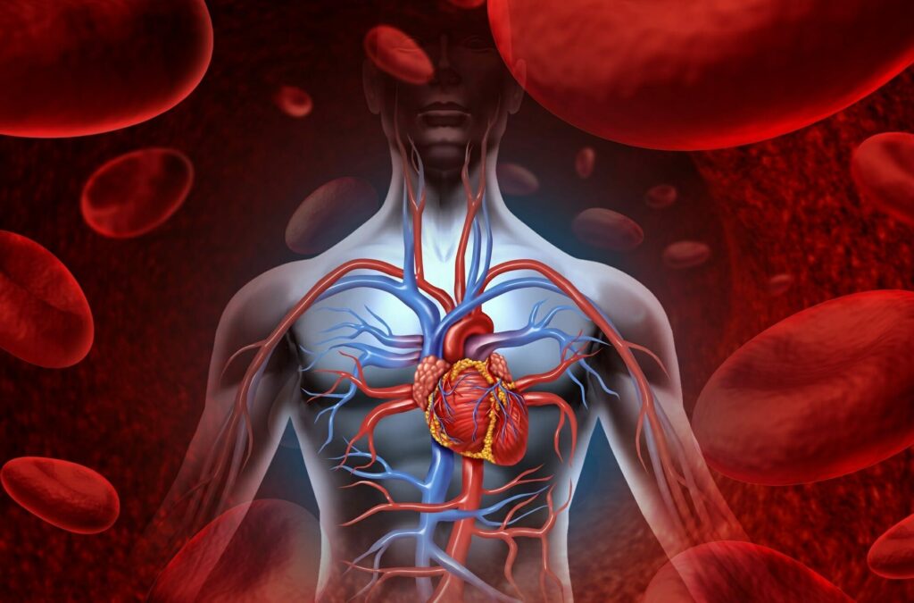 Canine Dilated Cardiomyopathy Drugs Industry