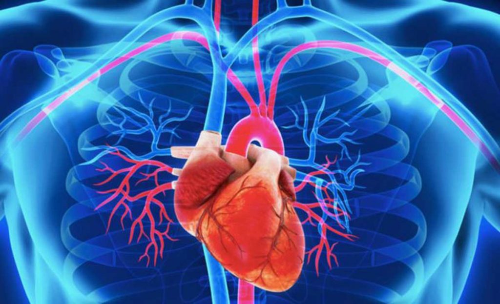 Cardiovascular Repair & Reconstruction Devices Market