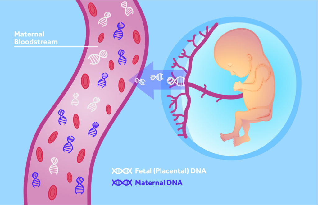 Cell-Free Fetal DNA Testing Industry