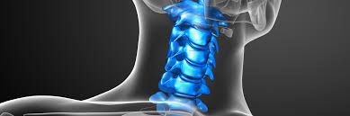 China Spinal Fusion Market