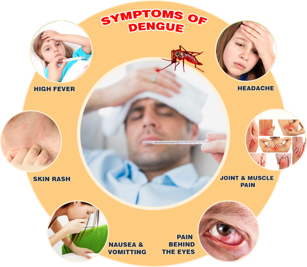 Dengue Fever Treatment Market