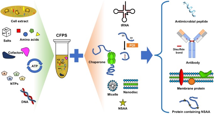 Difficult-to-Express Proteins Industry