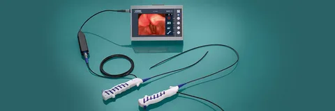 Disposable Endoscopes Market