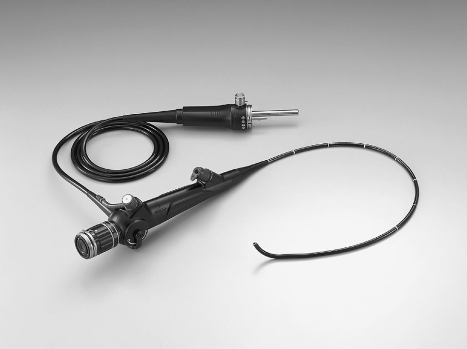 Flexible Endoscopes Industry