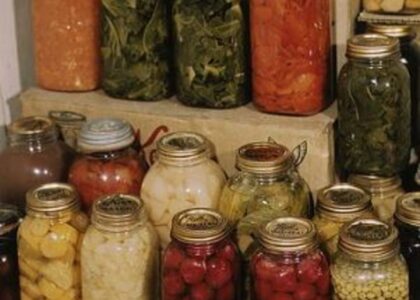 Food Preservation Equipment Market