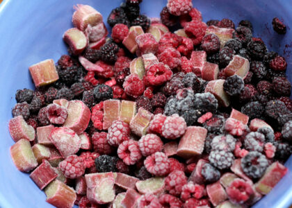 Freeze Dried Fruits Market