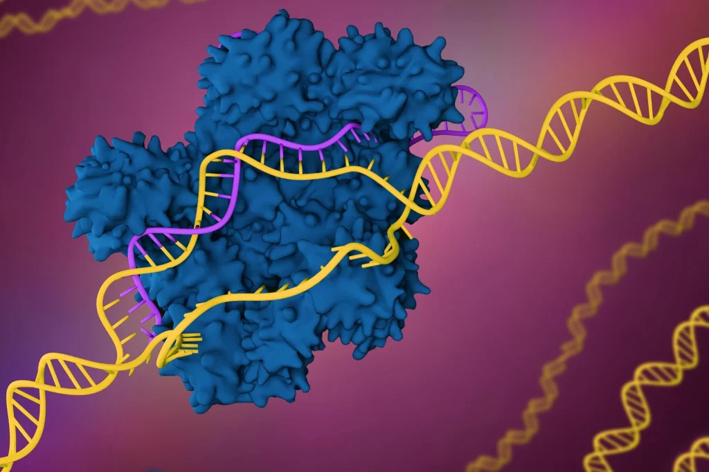 Gene Prediction ToolsMarket