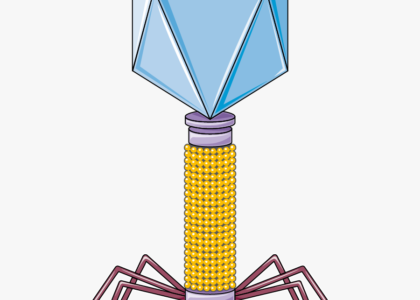 Global Bacteriophage Industry