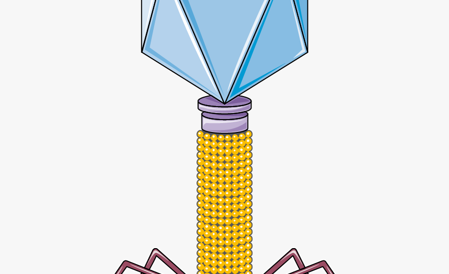 Global Bacteriophage Industry