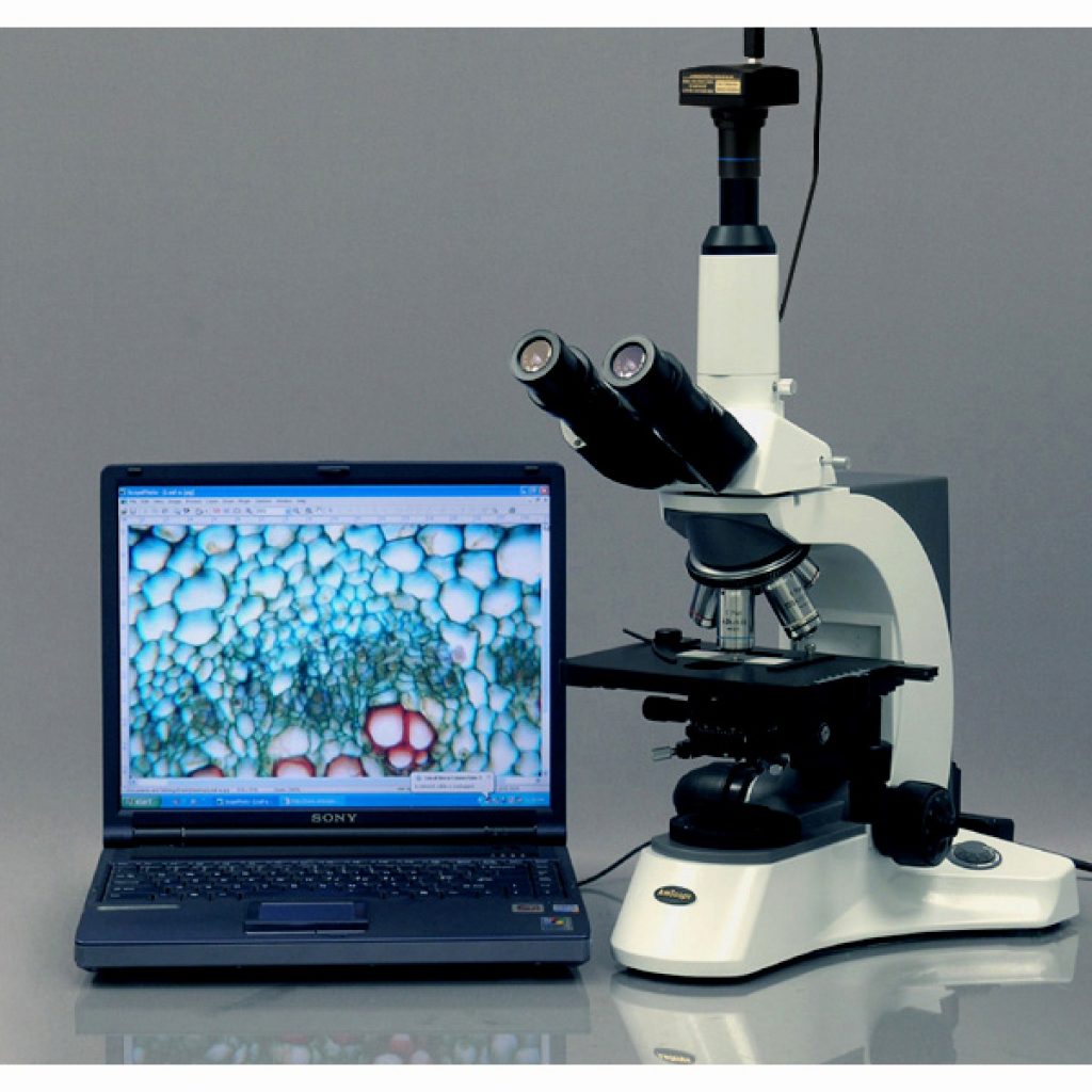 Global Microscope Digital Cameras Industry