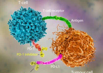 Global PD-1/PD-L1 Inhibitors Industry