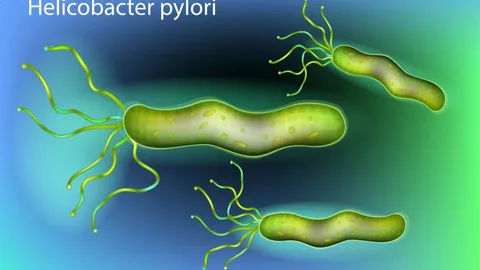 Helicobacter Pylori Testing market