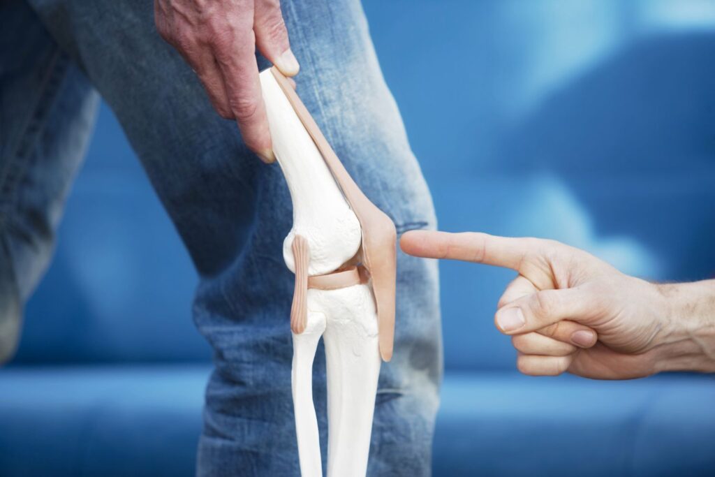 Hips & Knees Reconstructive Market