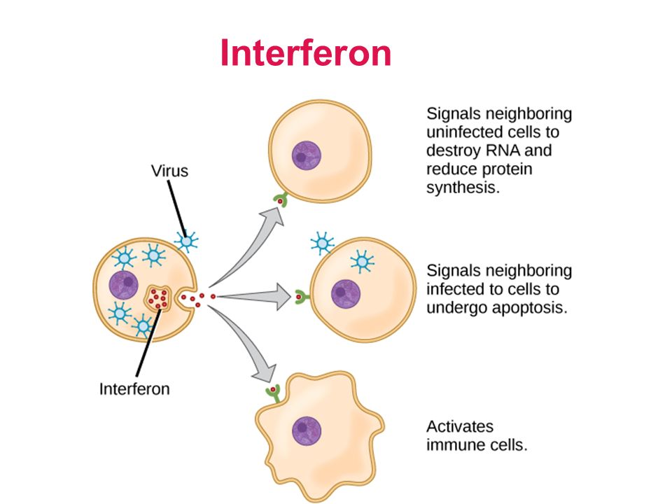 Interferons Industry