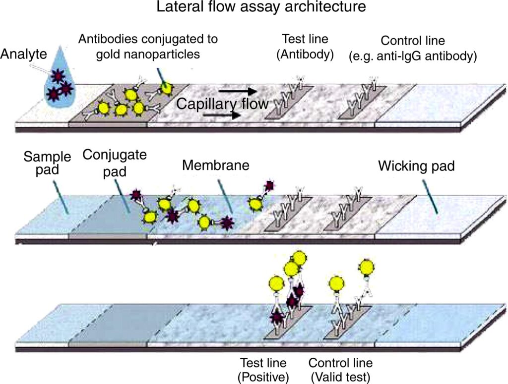 Lateral Flow Assays Industry