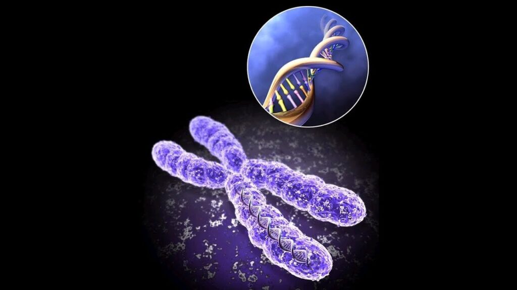 Molecular Cytogenetics Industry