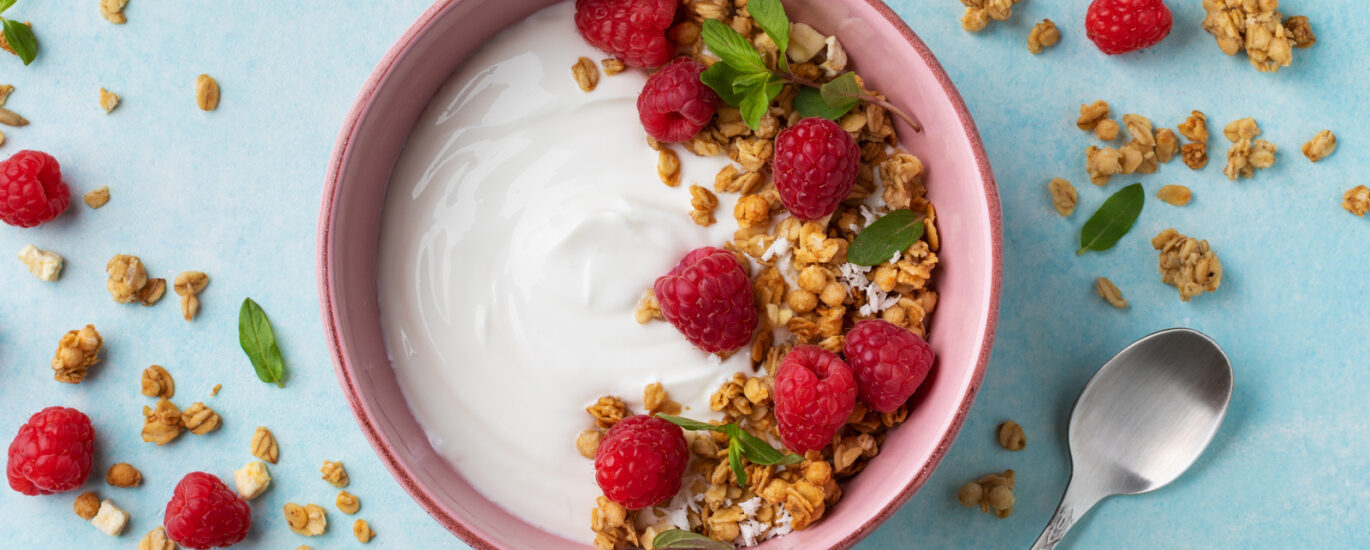 Plant-based Yogurt Market