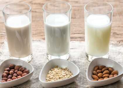 Plant-based Milk Market