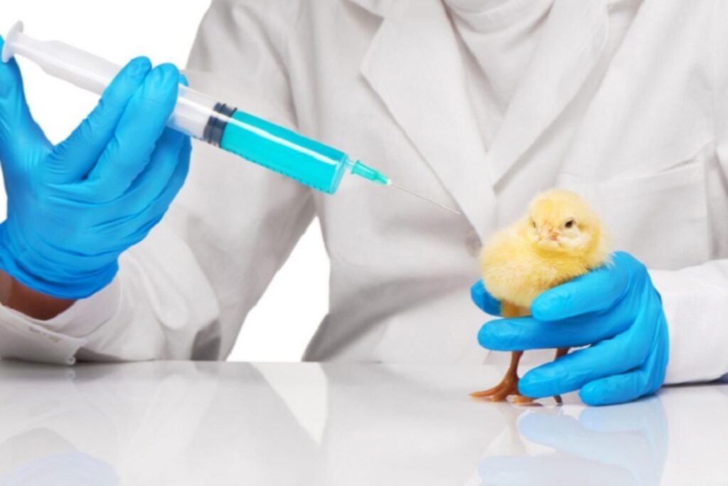 Poultry Diagnostic Testing Industry