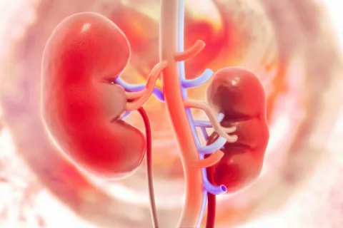 Renal Insufficiency Treatment Market